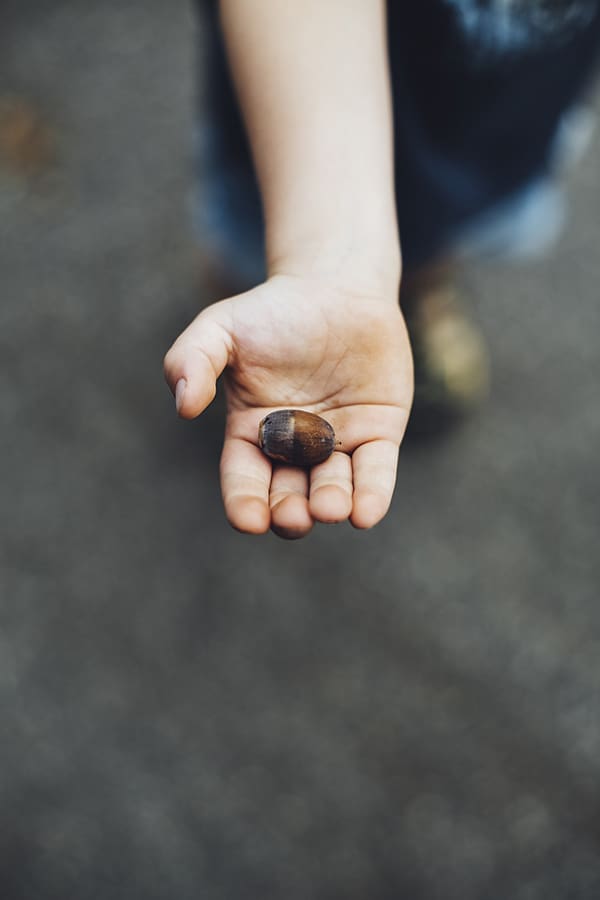 elementary a child holding out a pebble