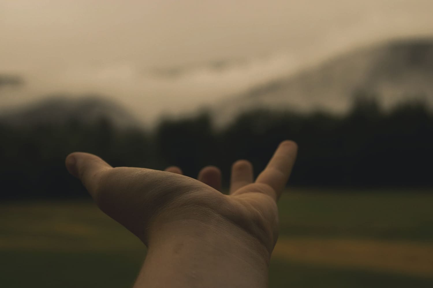 a hand reaching out