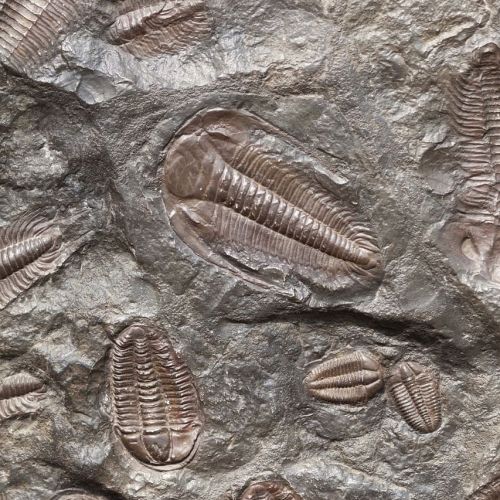 ancient-165001_1280 ancient-165001_1280